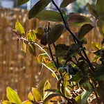 Borgo Vignola - Cozy In A Charming Village Cremia