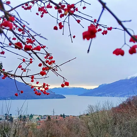 Apartament Borgo Vignola Cremia