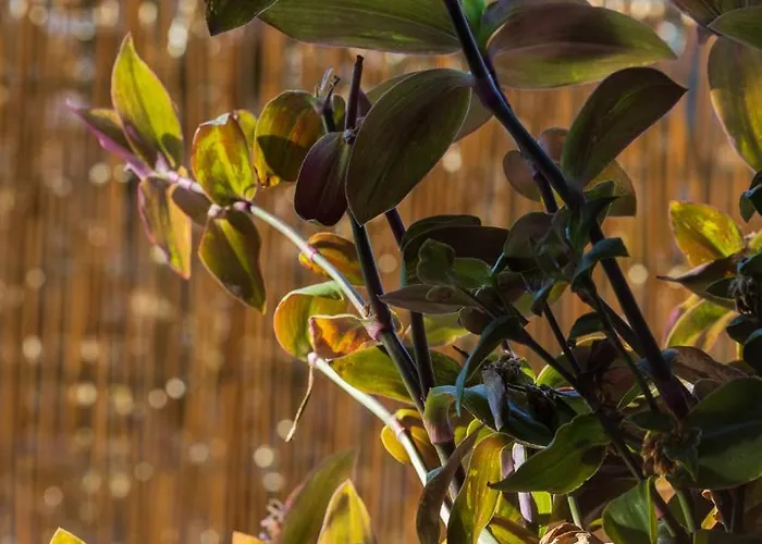 Borgo Vignola - Cozy In A Charming Village Cremia