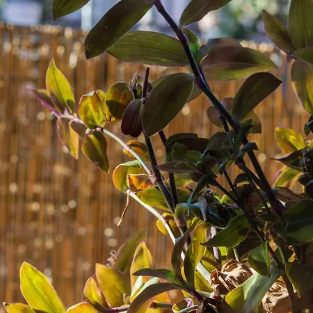 Borgo Vignola - Cozy In A Charming Village Cremia
